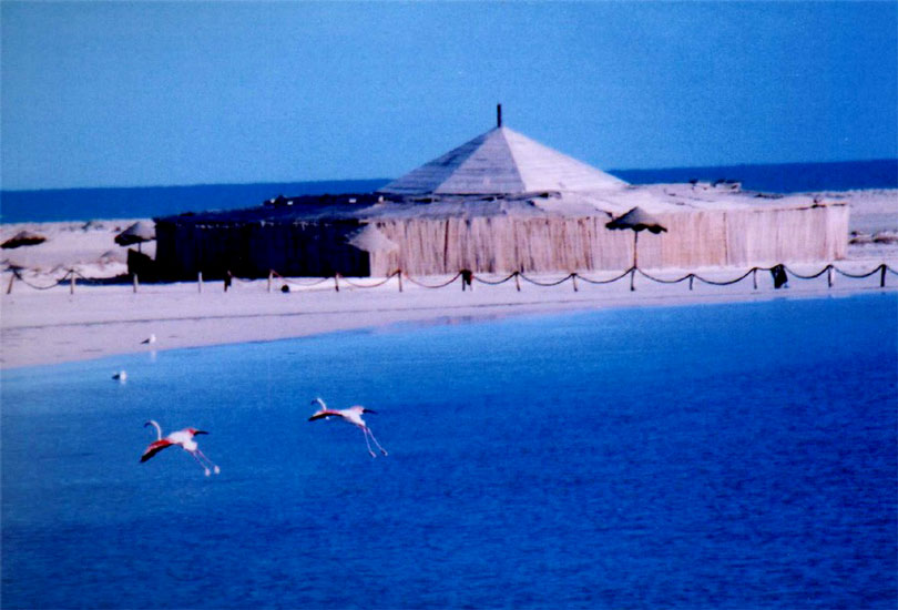 circuit-jerba-5